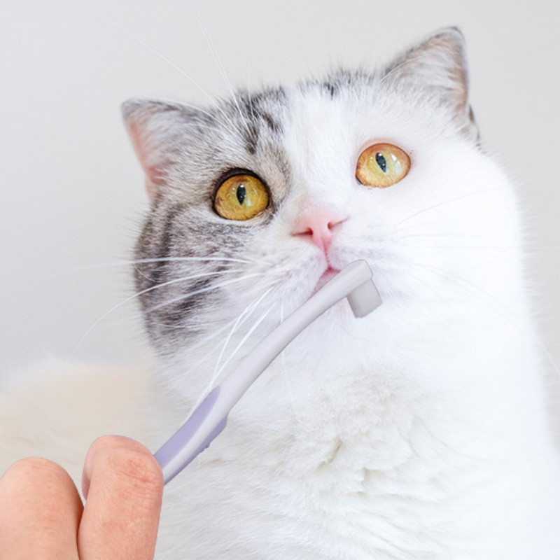 Escova de dentes para cães, es - Teeth Whitening Brush avaliação e preço