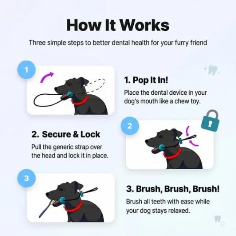 Bastão de Mastigação para Pets - Teeth Whitening Brush avaliação e preço